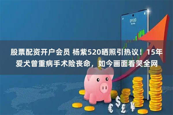 股票配资开户会员 杨紫520晒照引热议！15年爱犬曾重病手术险丧命，如今画面看哭全网