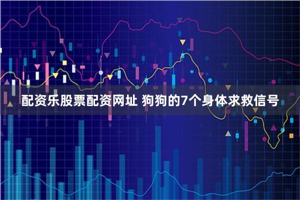 配资乐股票配资网址 狗狗的7个身体求救信号